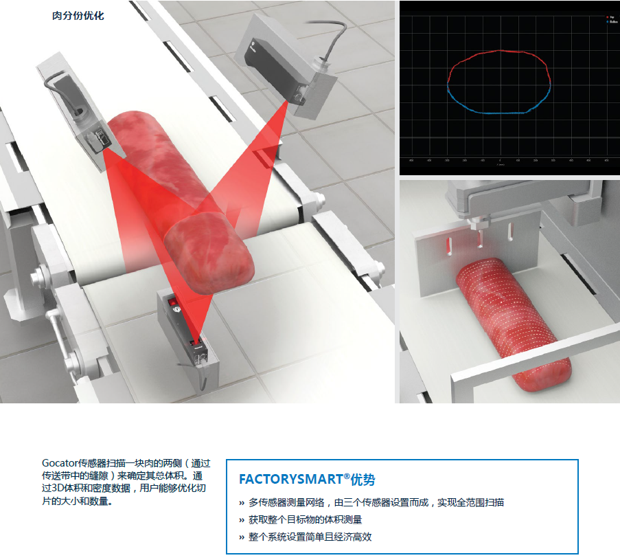 Gocator肉分份优化