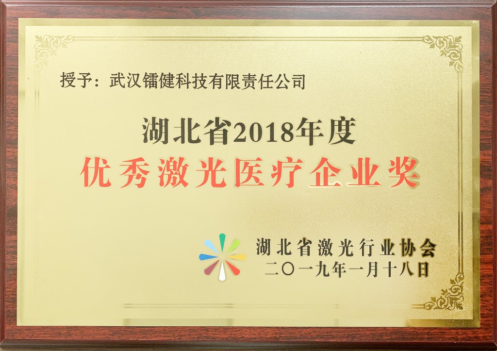 优秀激光医疗企业奖