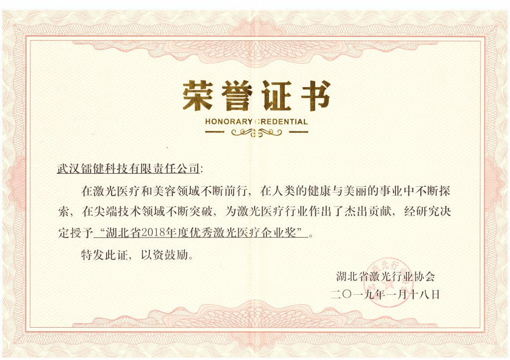 优秀激光医疗企业奖