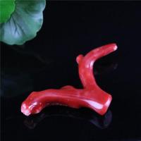 21天然阿卡珊瑚枝