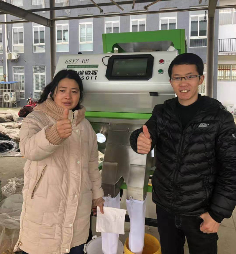 小麦客户分选现场