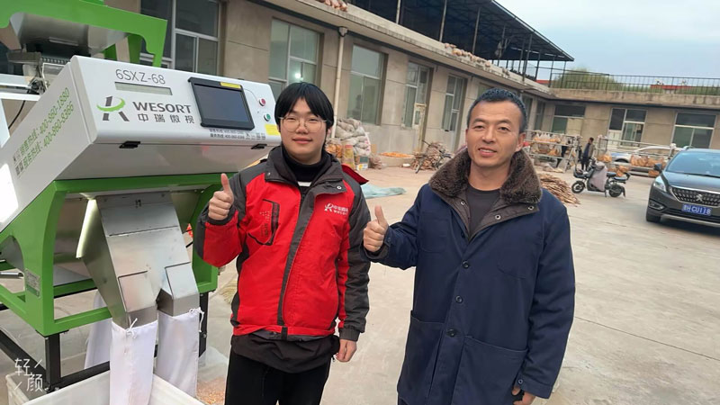 玉米粒分选客户现场