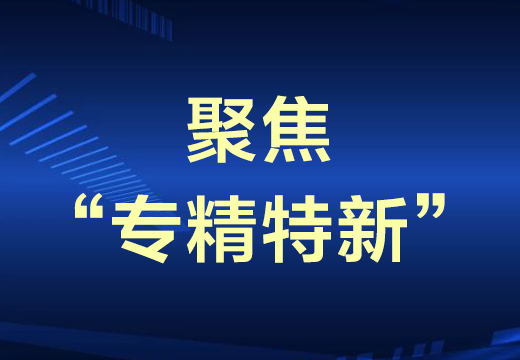 聚焦“专精特新”