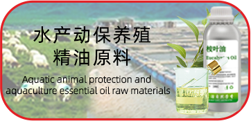 水产动保养殖精油原料