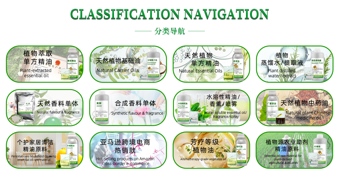 亚马逊跨境电商热销款