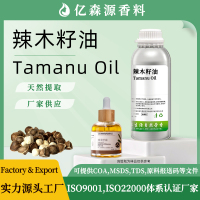 辣木籽油