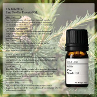 e423378186c0fc0852a59e23b6810641_O1CN01WAbQnb1G3jQk1lcVH_!!1707060567-0-cib