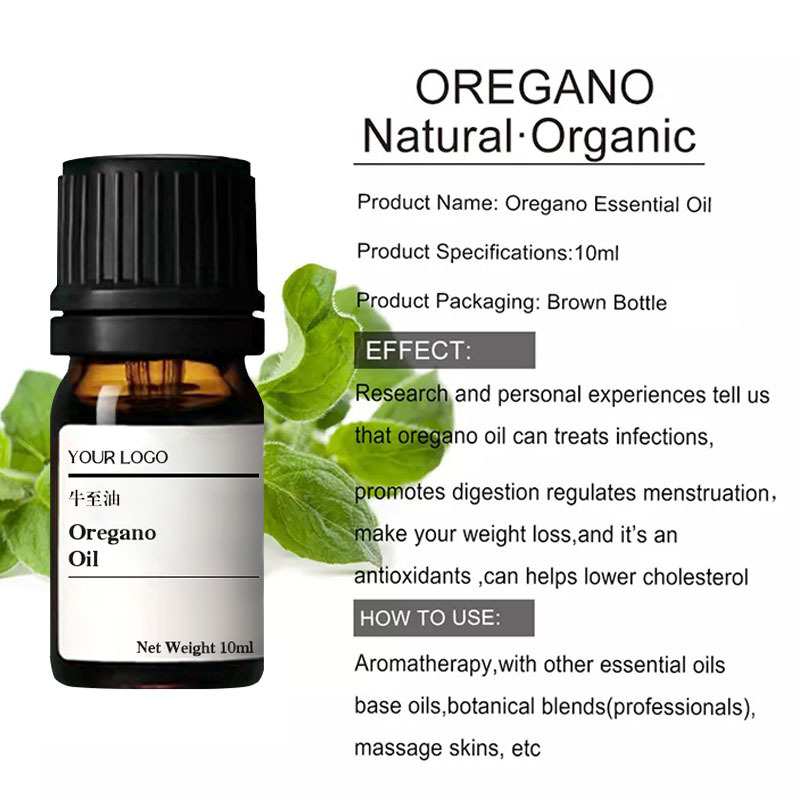 1da639d28602863686a7042d13c73773_O1CN01NZbXdB1G3jQ0ibFjW_!!1707060567-0-cib