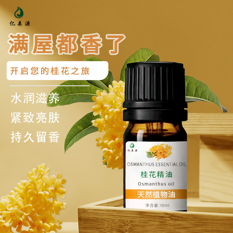 3c04f9abd5c119284fc97cd812c5fc44_O1CN01XHD0MI1G3jRRi6Qii_!!1707060567-0-cib