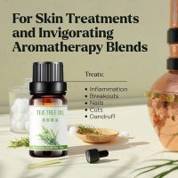 34c5631f12318c76eda8485725d95405_O1CN01IlNOE81G3jQAcynYX_!!1707060567-0-cib