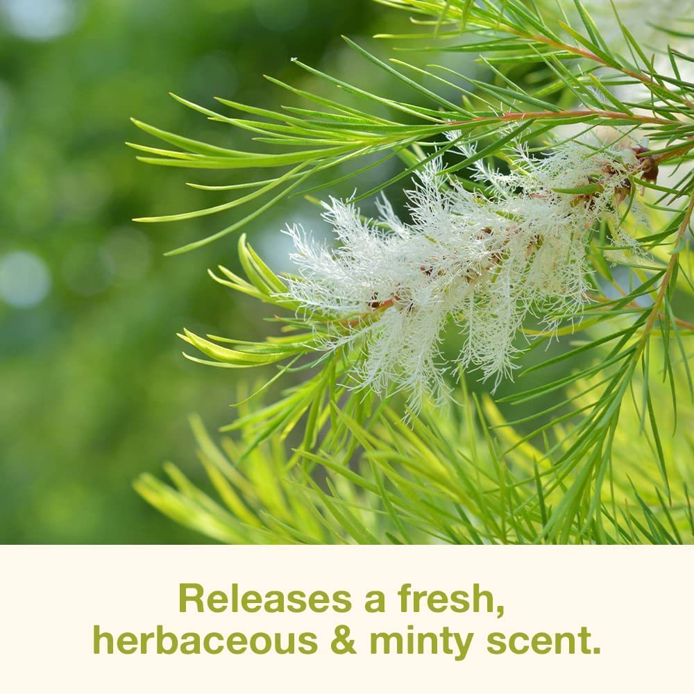 da734b1c22b2459b7585a03da9d82ed0_O1CN012CewBS1G3jQEDybcB_!!1707060567-0-cib