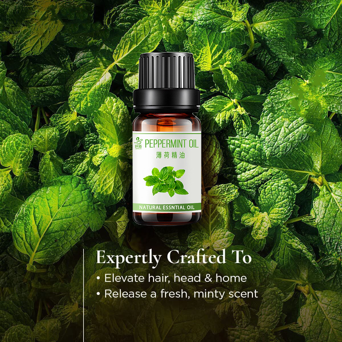 O1CN01IpOcCK1G3jQJkCQ9T_!!1707060567-0-cib