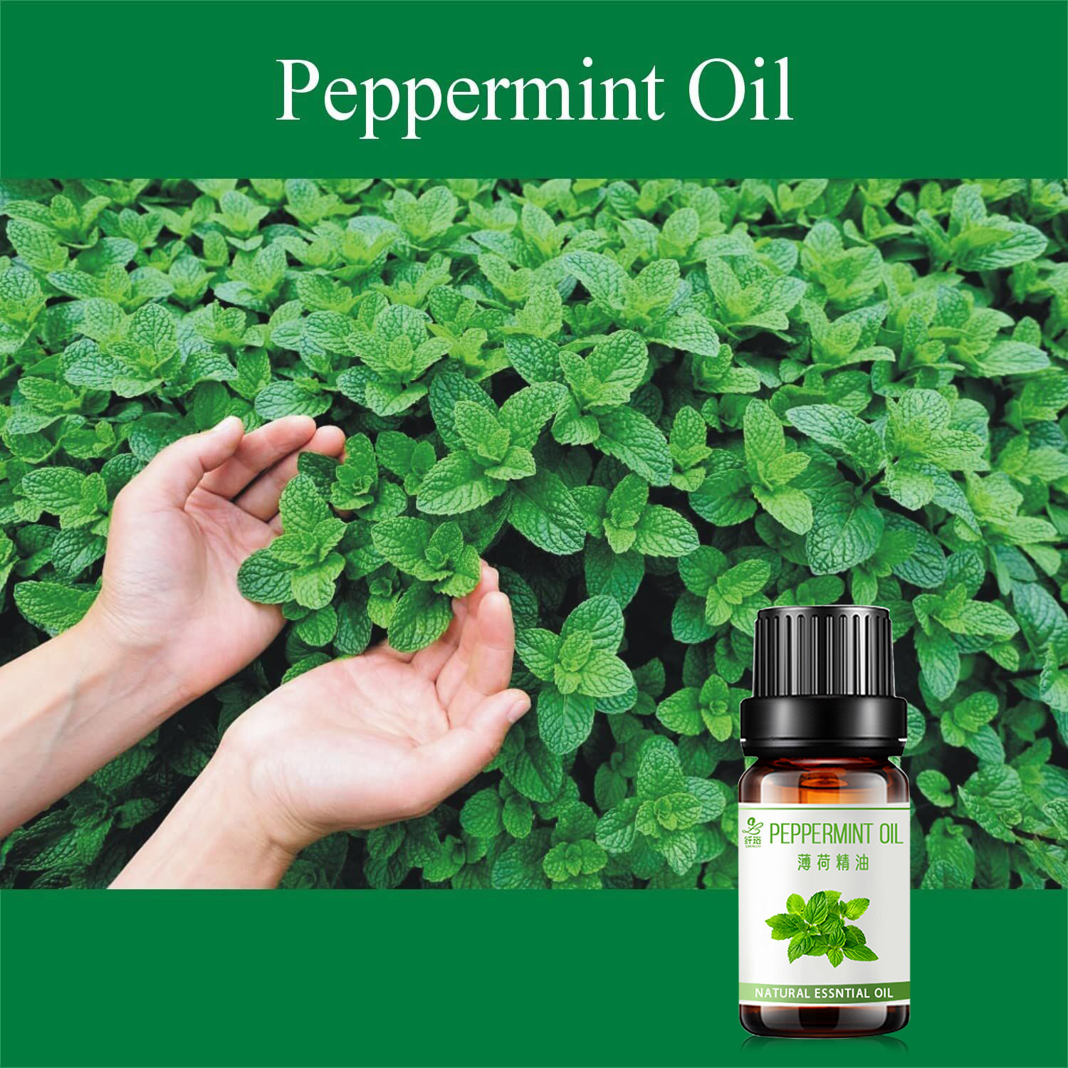 O1CN015uz0Wb1G3jQEG4c7e_!!1707060567-0-cib