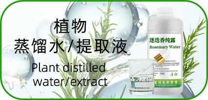 植物蒸馏水/提取液