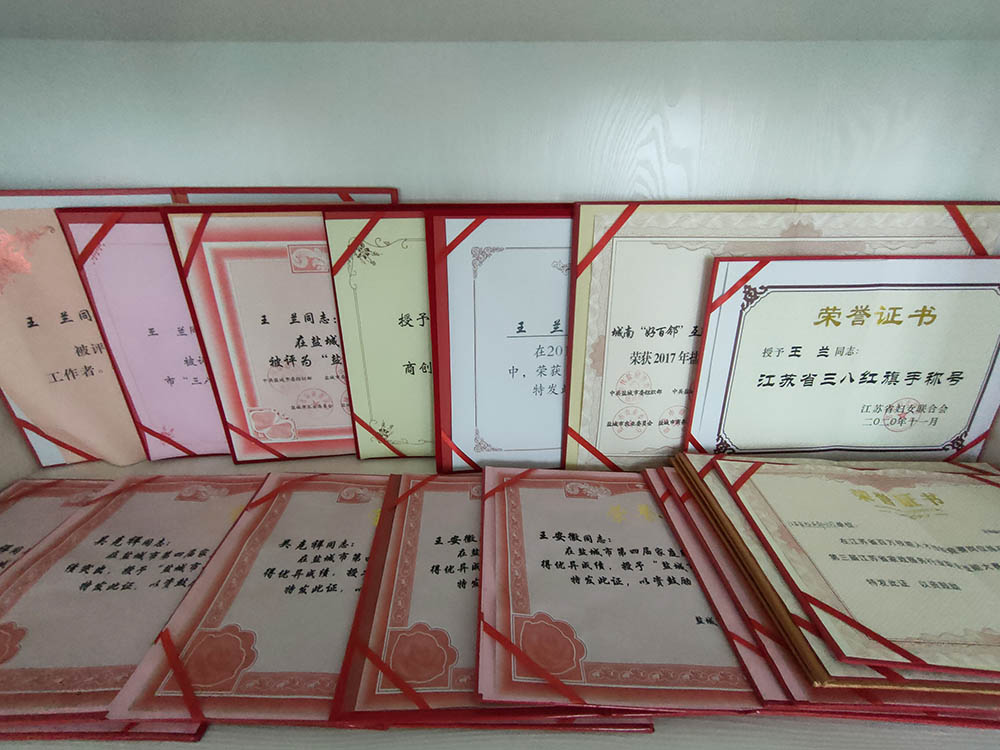 江苏盐城好百邻家庭服务公司，官方电话：4008857580 ——专注家政与清洁行业11年，涉及互联网+家政/清洁保洁/家政培训/家政加盟合伙创业平台,“好百邻”提供日常保洁、开荒保洁、钟点工、小时工、家政包年、家电清洗消毒、甲醛检测治理、月嫂、催乳师、育儿嫂、保姆等家政服务，为中高端家庭提供深度的家庭场景新服务。深度布局全国加盟合伙业务，欢迎加盟商/合伙人前来合作，一起努力为中高端家庭提供家庭场景服务。好百邻获得荣誉数百项，江苏省清洗保洁协会副会长单位、江苏省妇联——巾帼文明岗、江苏省家庭服务业协会——十大品牌示范形象等等