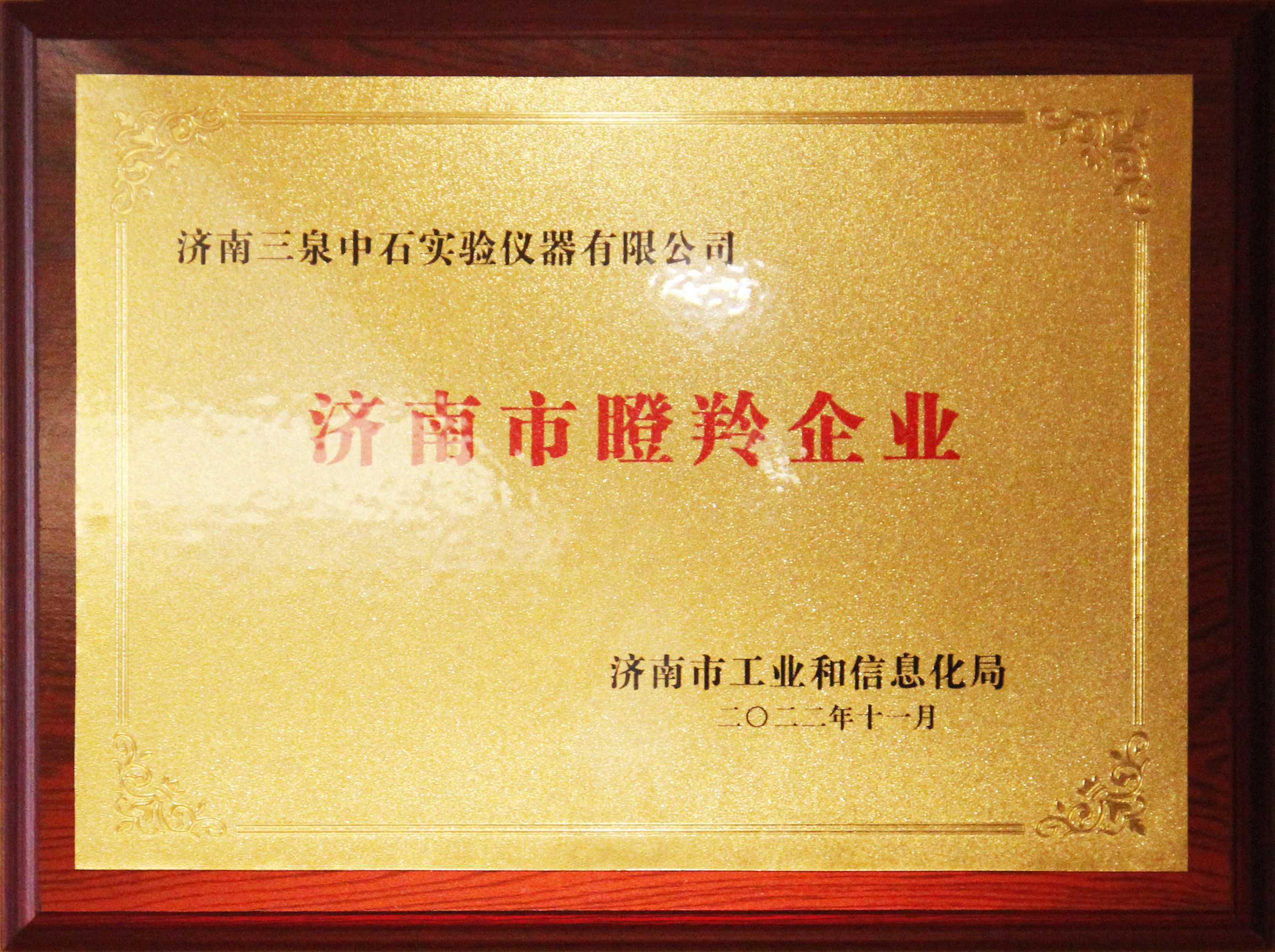市级瞪羚企业认证