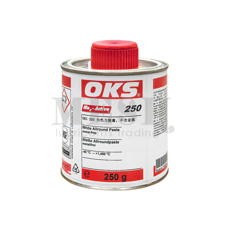 OKS250250g202607