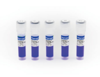 2×升级款常规PCR