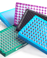 11522188_FrameStar-group