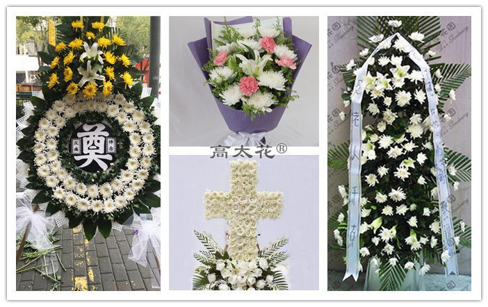 送菊花