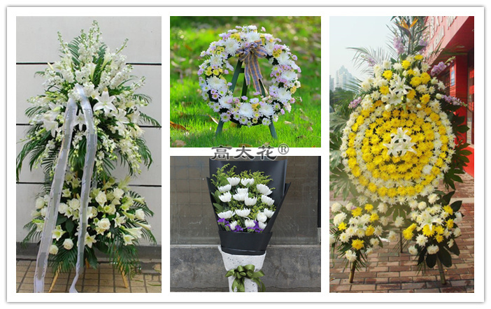 白城祭奠菊花