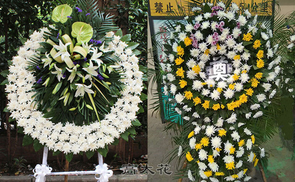 什么花送死人
