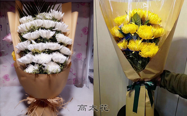 清明菊花