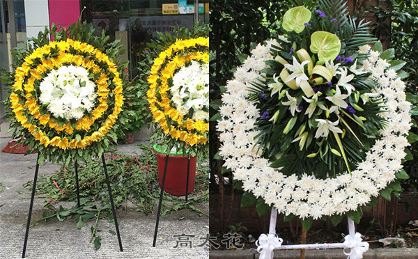 白花花圈