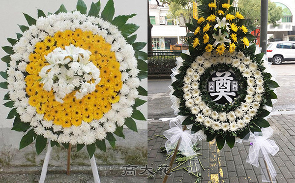 悼念菊花