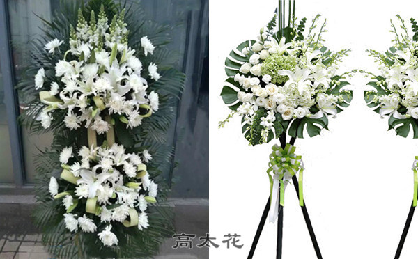 吊唁菊花