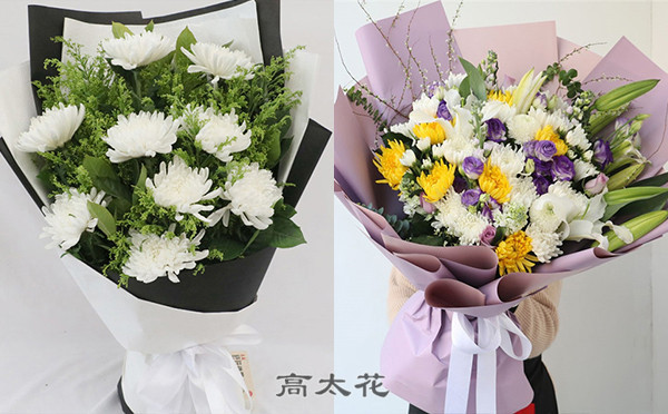清明菊花