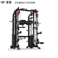 美国正伦AEON多功能飞鸟史密斯龙门架CL-606品牌供应商商务合作供货商