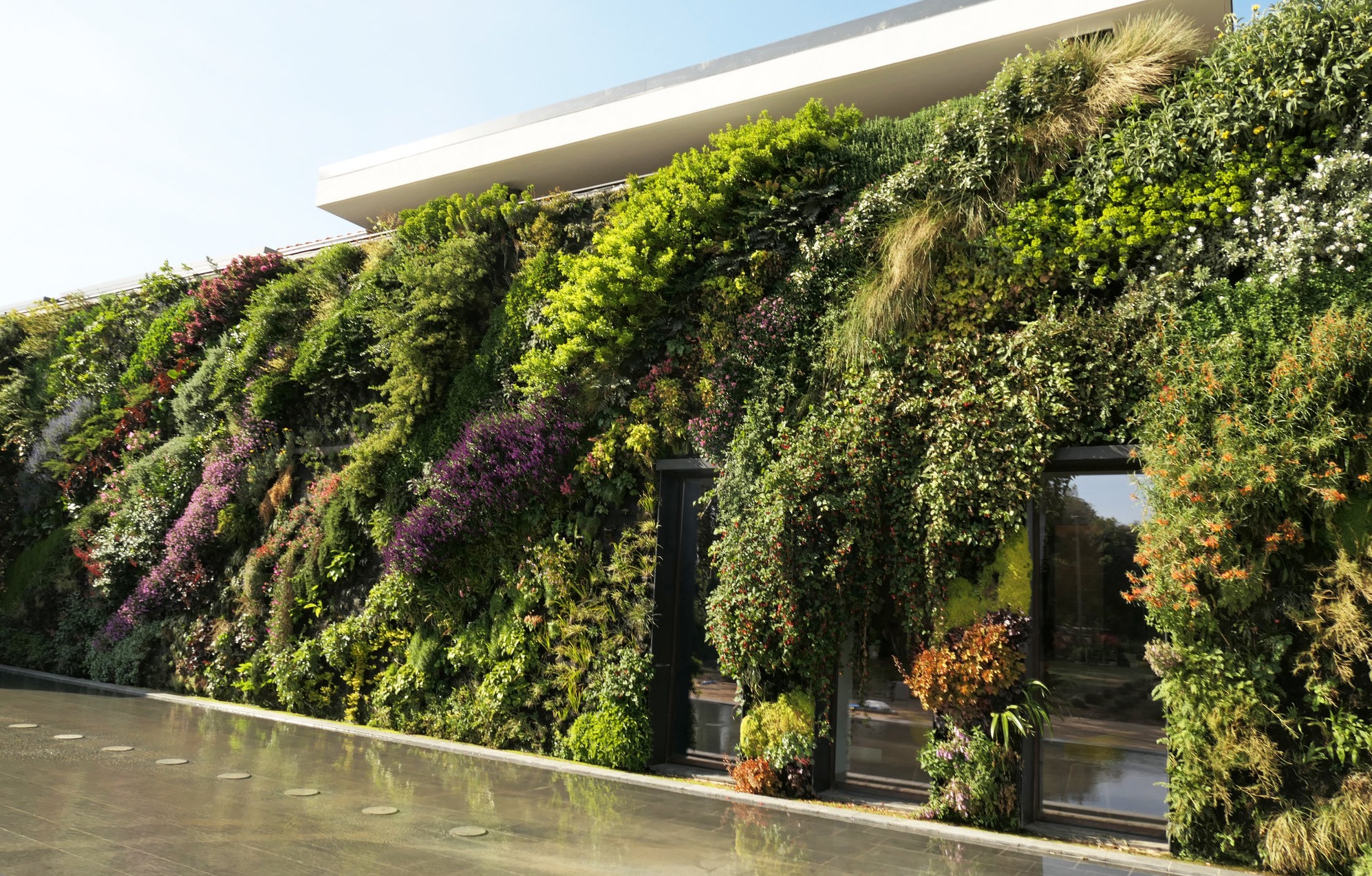 售楼部.景观绿墙系列