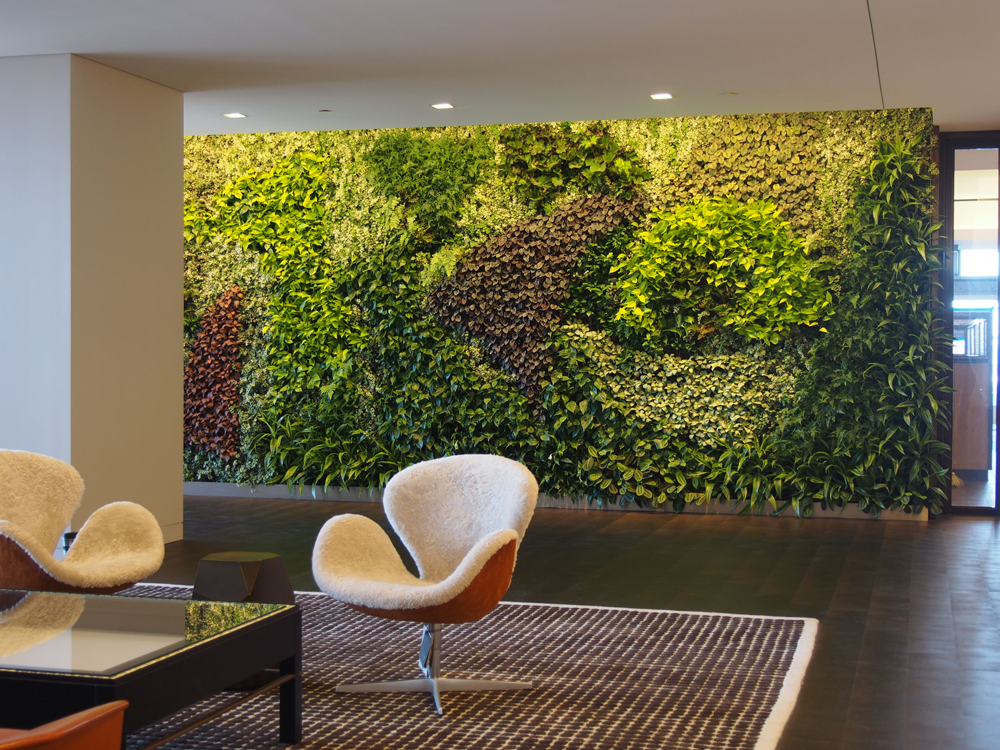 室内接待区生态植物墙
