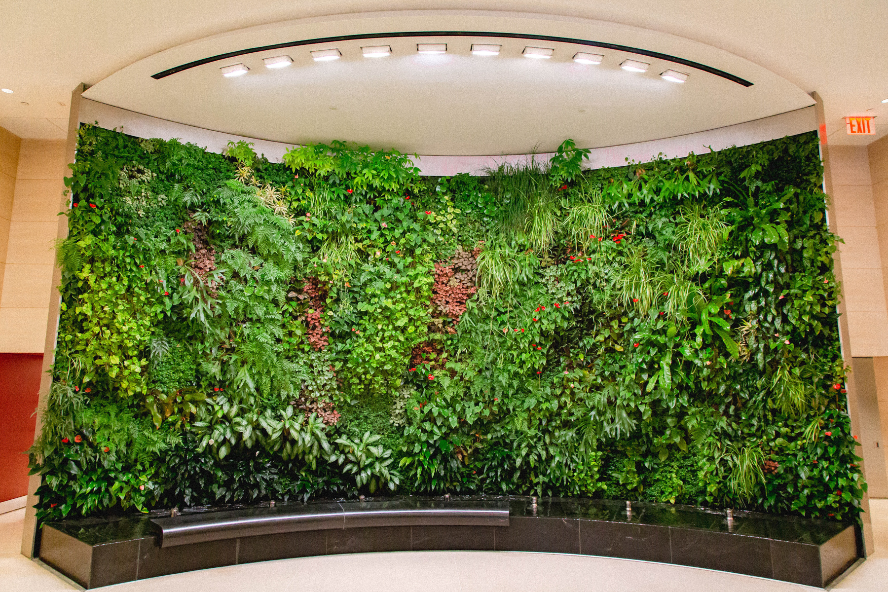 带水池的植物墙