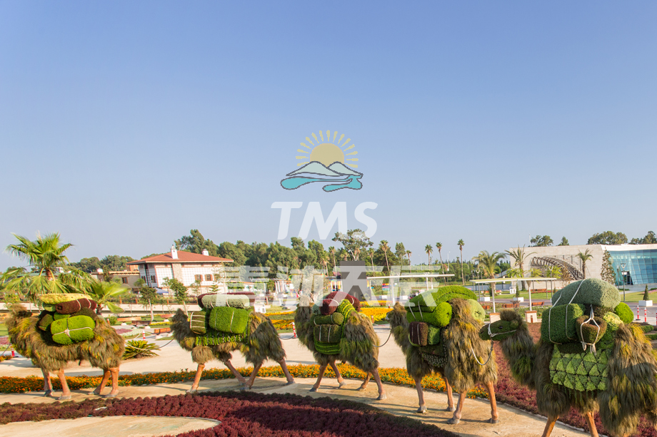 植物雕塑(骆驼)