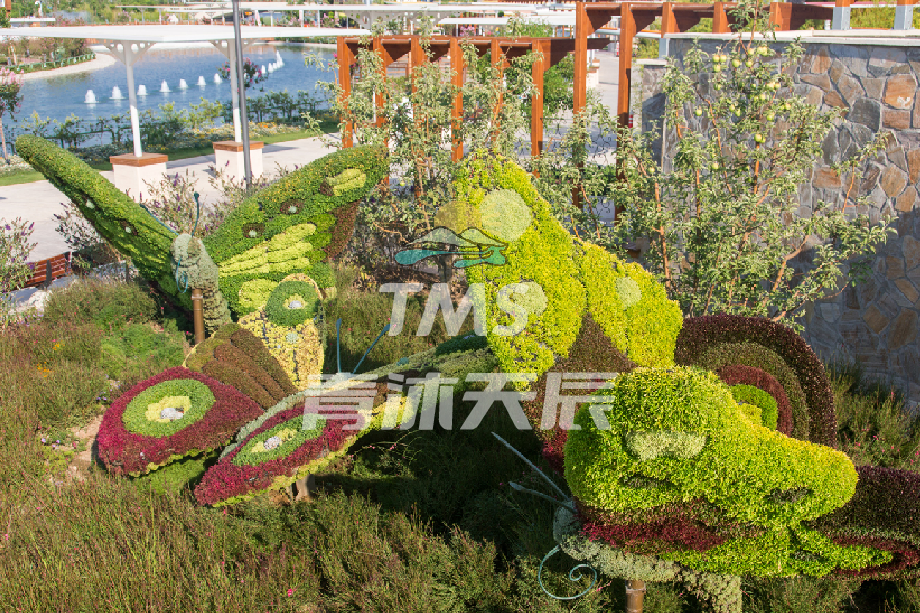 蝴蝶造型立体花坛
