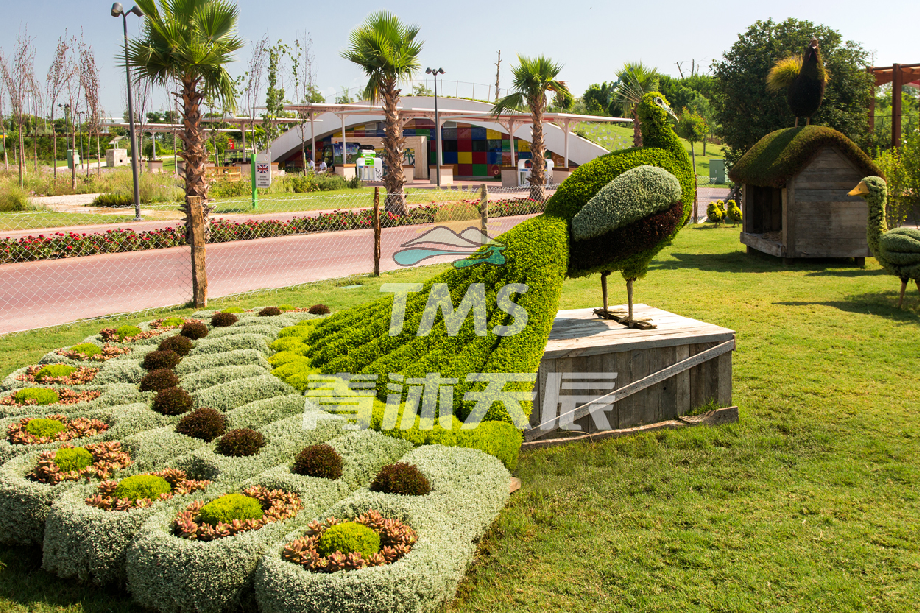 孔雀主题植物雕塑