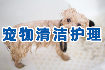 👉查看详情👈