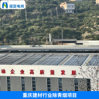 重庆除青烟项目