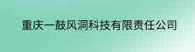 重庆一鼓风洞科技有限责任公司
