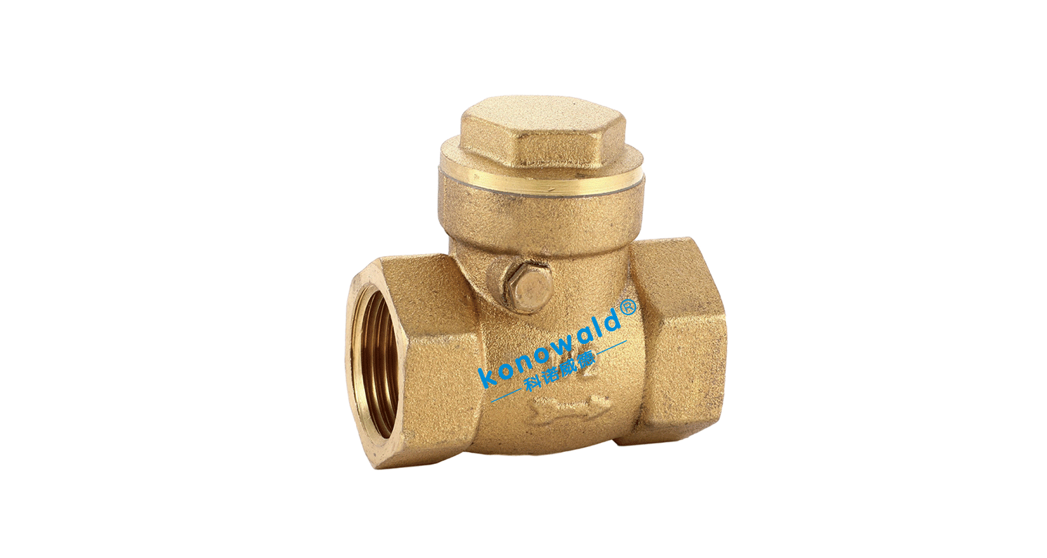 4支管阀-卧式止回阀