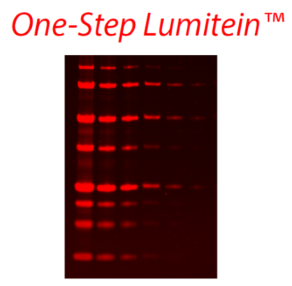 One-StepLumitein™ProteinGelStain