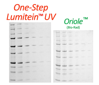 One-StepLumitein™UVProteinGelStain
