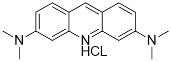 吖啶橙