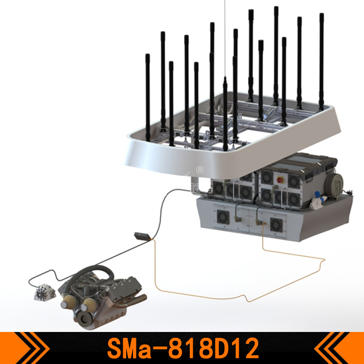 SMa-818D12-13