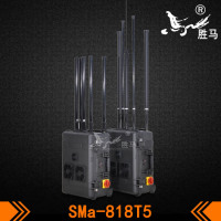 SMa-818T5-3