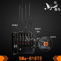 SMa-818T5-6