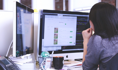 维护服务 - 富勒FLUX软件 - WMS - TMS