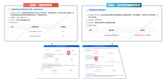 税务风险报告